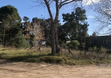 LOTE SAAVEDRA Y DEVILLARD
