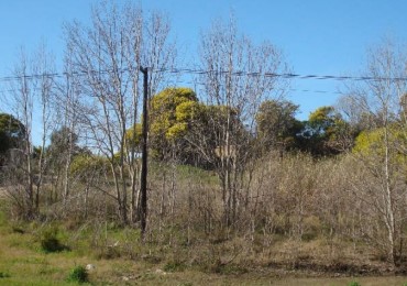 LOTE EN VENTA EN OSTENDE