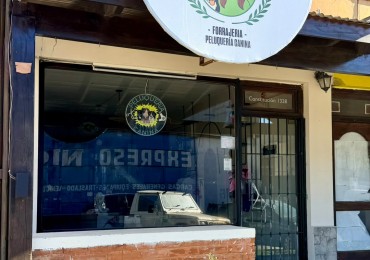 Local Constitucion 